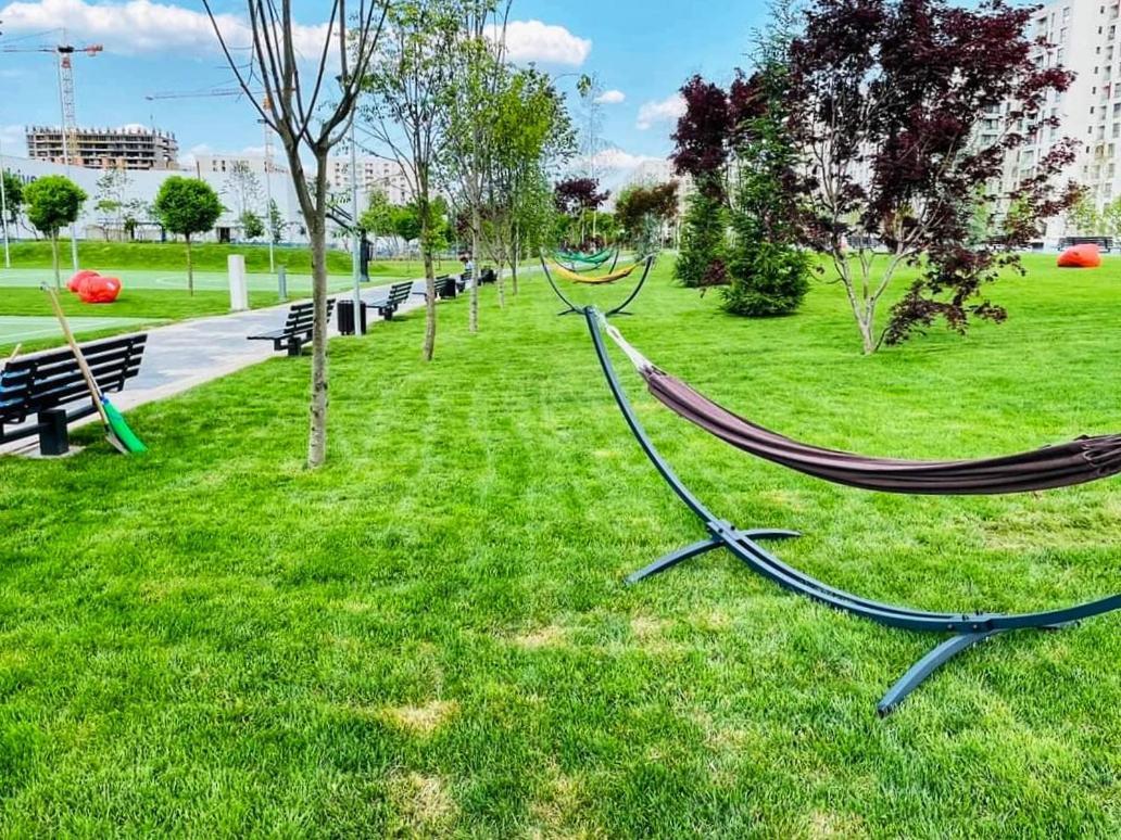 Botanic Nest Panoramic Studio Bukareszt Zewnętrze zdjęcie