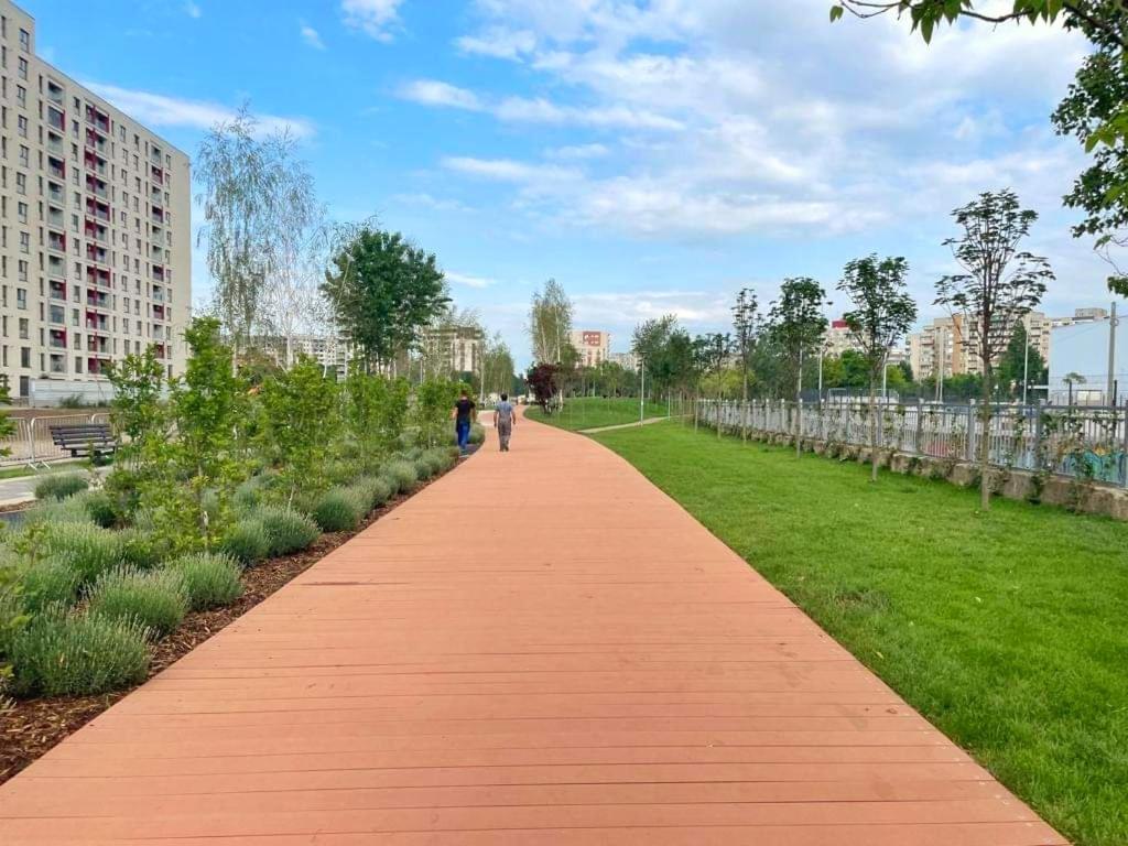 Botanic Nest Panoramic Studio Bukareszt Zewnętrze zdjęcie